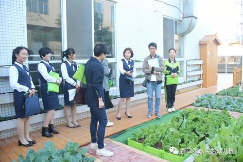 【学园动态】晋江市第八实验幼儿园接受晋江市劳动教育特色学校评估